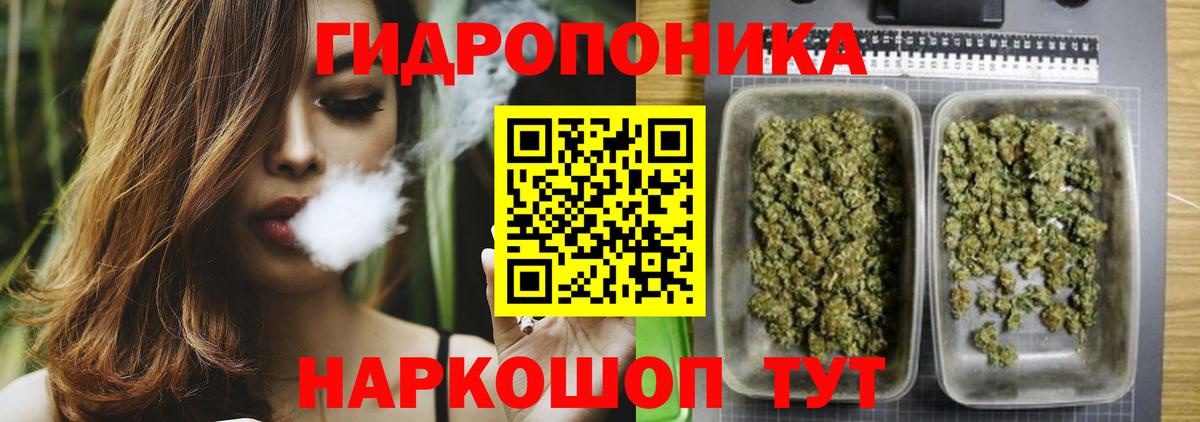 Конопля ГИДРОПОН  Каннабис сатива  Гулькевичи  Вход с VPN 